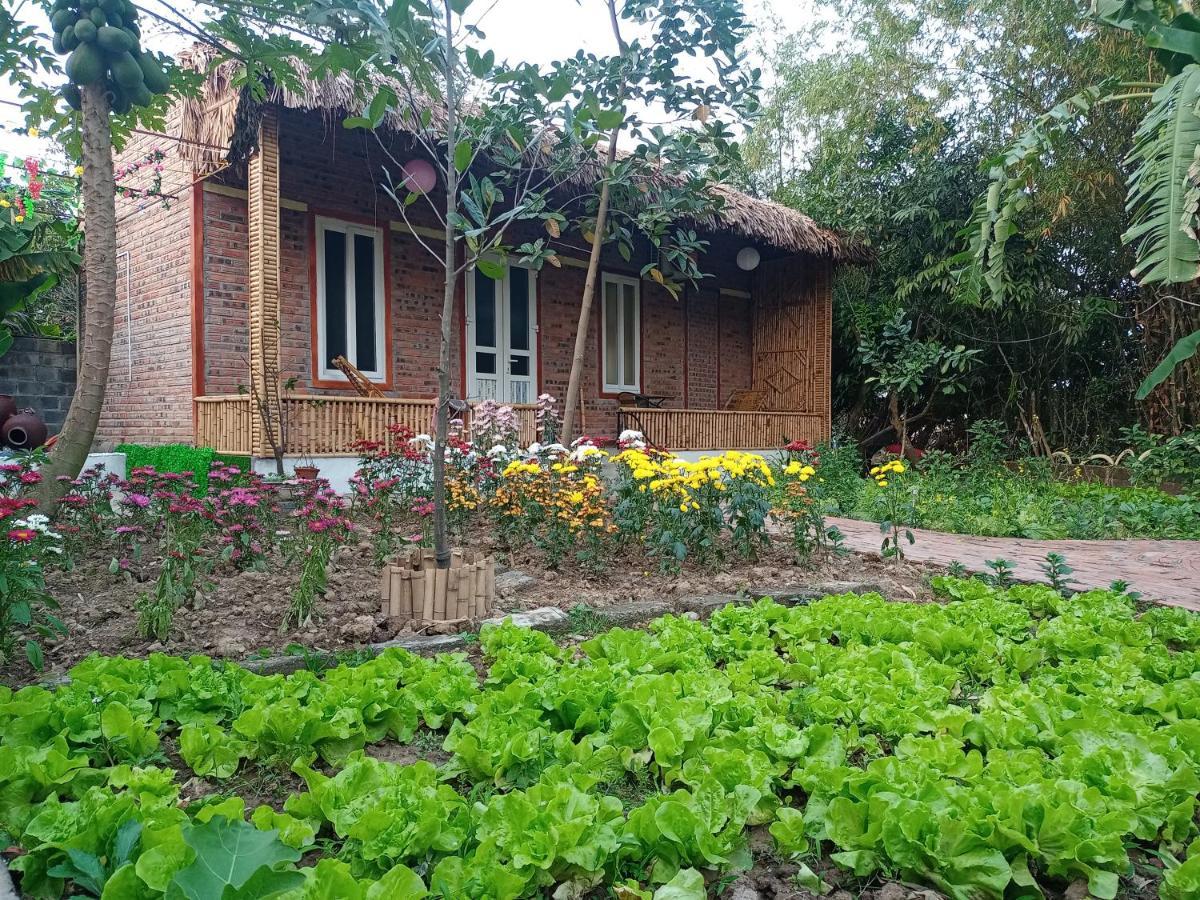 Phuong Thao Homestay Ninh Binh Luaran gambar